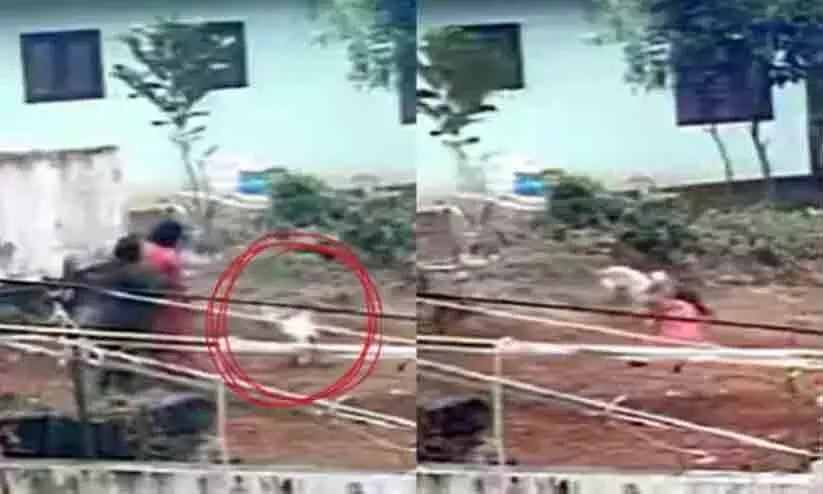 ആലപ്പുഴയിൽ തെരുവ് നായ ആക്രമണം; നാല് പേർക്ക് ഗുരുതര പരിക്ക് ആലപ്പുഴയിൽ തെരുവ് നായ ആക്രമണം; നാല് പേർക്ക് ഗുരുതര പരിക്ക്