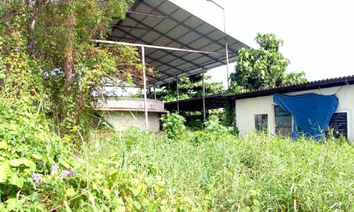 കാടിനുള്ളിൽനിന്ന്​ മോചനമില്ലാതെ കുളവാഴ പ്ലാന്‍റ്