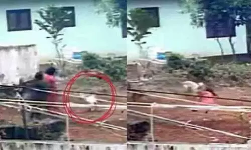 ആലപ്പുഴയിൽ തെരുവ് നായ ആക്രമണം; നാല് പേർക്ക് ഗുരുതര പരിക്ക്