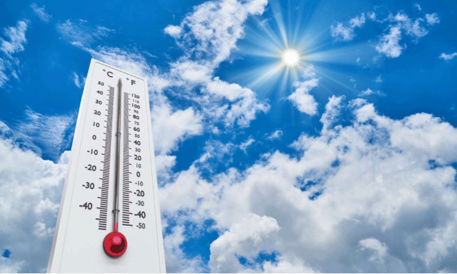 വേനല്‍: വളര്‍ത്തുമൃഗങ്ങള്‍ക്ക് കരുതല്‍ വേണം