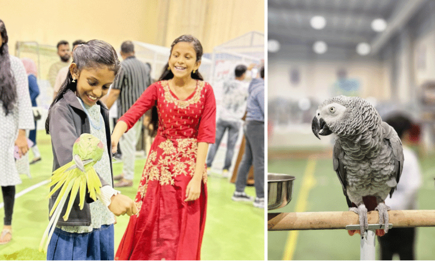 ബ​ഹ്റൈ​നി​ലെ ഏ​റ്റ​വും വ​ലി​യ പ​ക്ഷി പ്ര​ദ​ർ​ശ​നമേ​ള​ക്ക് ഇന്ന് സ​മാ​പ​നം