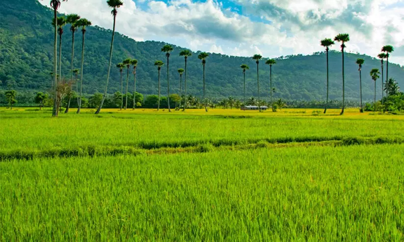 കേ​ന്ദ്ര ബ​ജ​റ്റ്; പാ​ല​ക്കാ​ടി​ന്റെ പ്ര​തീ​ക്ഷ​ക​ൾ