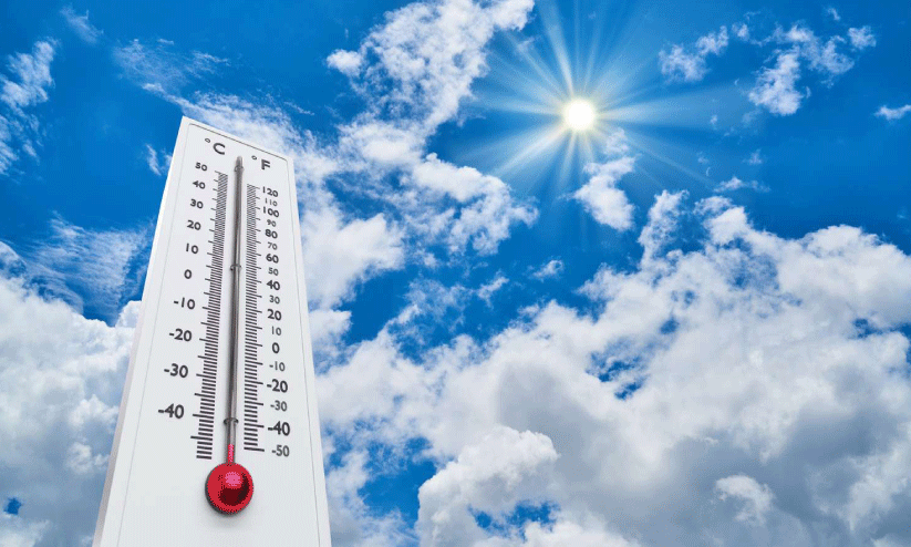 വേനല്‍: വളര്‍ത്തുമൃഗങ്ങള്‍ക്ക് കരുതല്‍ വേണം