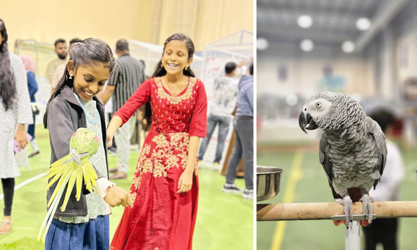 ബ​ഹ്റൈ​നി​ലെ ഏ​റ്റ​വും വ​ലി​യ പ​ക്ഷി പ്ര​ദ​ർ​ശ​നമേ​ള​ക്ക് ഇന്ന് സ​മാ​പ​നം