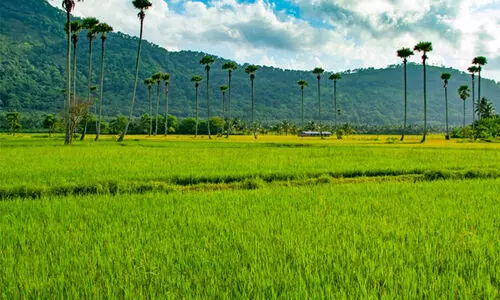 കേ​ന്ദ്ര ബ​ജ​റ്റ്; പാ​ല​ക്കാ​ടി​ന്റെ പ്ര​തീ​ക്ഷ​ക​ൾ