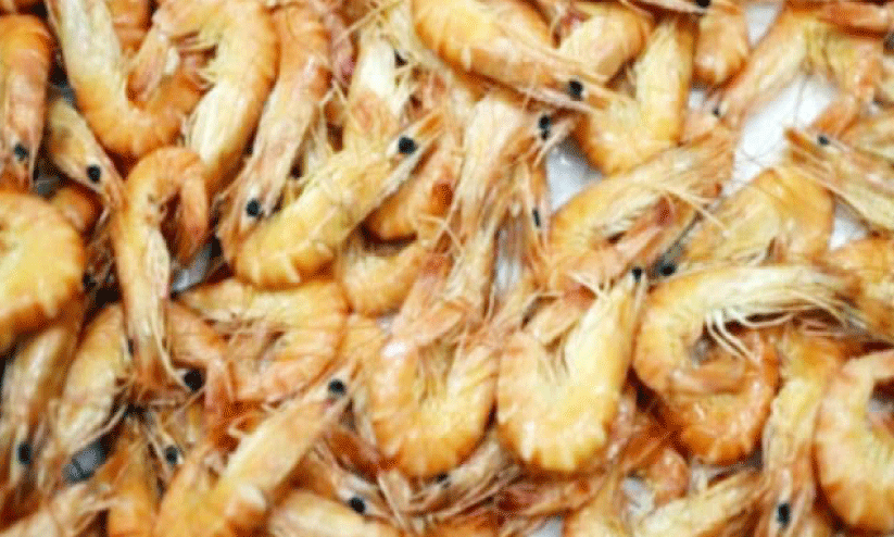 രാ​ജ്യ​ത്ത് ചെ​മ്മീ​ൻ പി​ടി​ക്കു​ന്ന​തി​ന് നി​രോ​ധ​നം