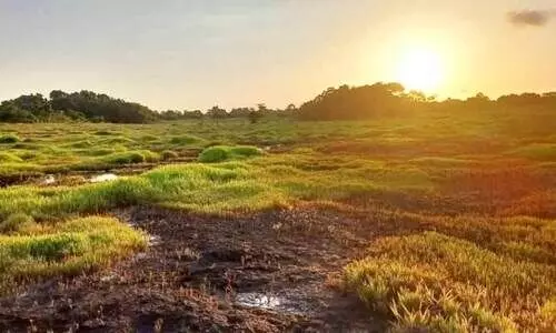 എന്തിനാണിങ്ങനെ   ചീമേനിയുടെ   ഉറക്കം കെടുത്തുന്നത്?