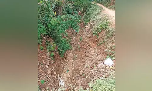 മ​ണ്ണും മാ​ലി​ന്യ​വും നി​റ​ഞ്ഞ​് നീ​രൊ​ഴു​ക്ക് നി​ല​ച്ച് മീ​ങ്ക​ര ക​നാ​ൽ