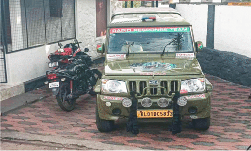 തെന്മല ആർ.ആർ.ടിക്ക് ആവശ്യമായ ജീവനക്കാരായി