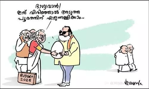 ആനമുട്ട
