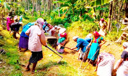 തൊ​ഴി​ലു​റപ്പ്​ പ​ദ്ധ​തി​വി​ഹി​തം കൂ​ട്ടി​യി​ല്ല: തൊ​ഴി​ലു​റ​ക്കാ​തെ കേ​ര​ളം