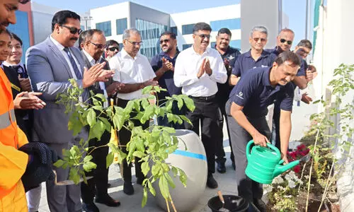 Noble international school