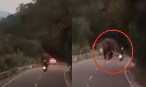 കാട്ടാനയെ കണ്ടിട്ടും ബൈക്ക് നിർത്തിയില്ല; വാൽപ്പാറയിൽ വിദേശ പൗരന് ദാരുണാന്ത്യം