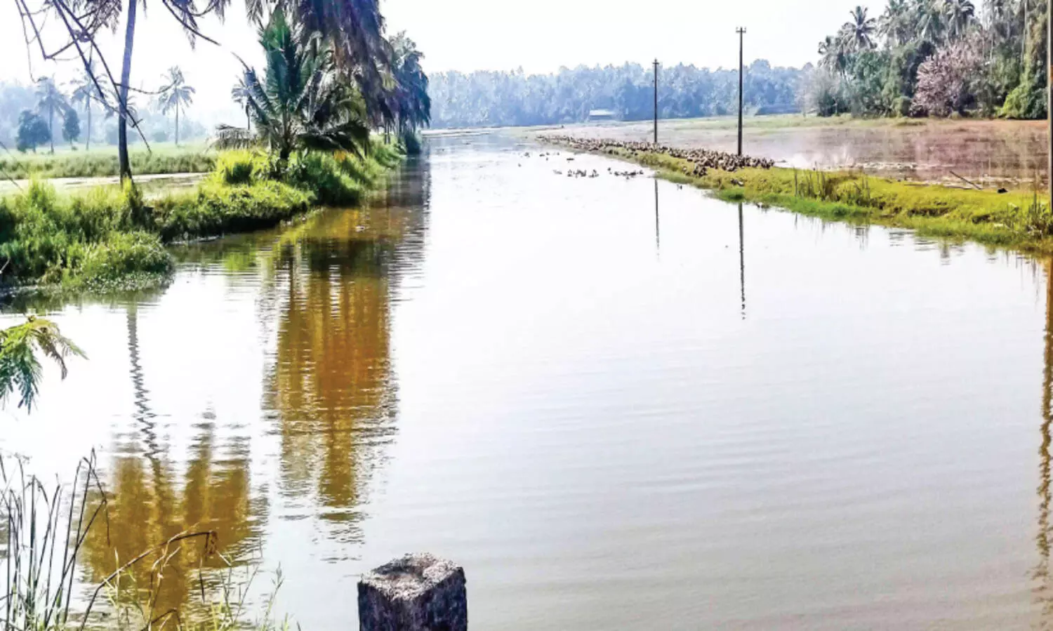 വി​ക​സ​ന​പ്ര​തീ​ക്ഷ​ക​ളി​ൽ മാ​രേ​ക്കാ​ട്