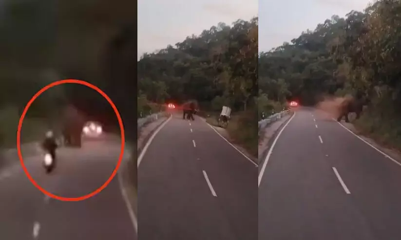 ഉയർത്തി എറിഞ്ഞിട്ട കാട്ടാനയുടെ മുന്നിലേക്ക് ബൈക്ക് എടുക്കാനായി വീണ്ടും ഇറങ്ങി; ജർമൻ പൗരൻ മരണം വിളിച്ചുവരുത്തിയതെന്ന് ദൃക്സാക്ഷികൾ ഉയർത്തി എറിഞ്ഞിട്ട കാട്ടാനയുടെ മുന്നിലേക്ക് ബൈക്ക് എടുക്കാനായി വീണ്ടും ഇറങ്ങി; ജർമൻ പൗരൻ മരണം വിളിച്ചുവരുത്തിയതെന്ന് ദൃക്സാക്ഷികൾ