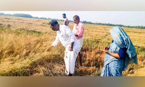 Ambalapuzha Ambalapuzha