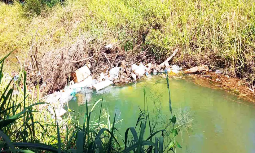 മാലിന്യം നിറഞ്ഞ് കെ.ഐ.പി കനാല്; പുറത്തിറങ്ങാനാകാതെ പരിസരവാസികൾ മാലിന്യം നിറഞ്ഞ് കെ.ഐ.പി കനാല്; പുറത്തിറങ്ങാനാകാതെ പരിസരവാസികൾ