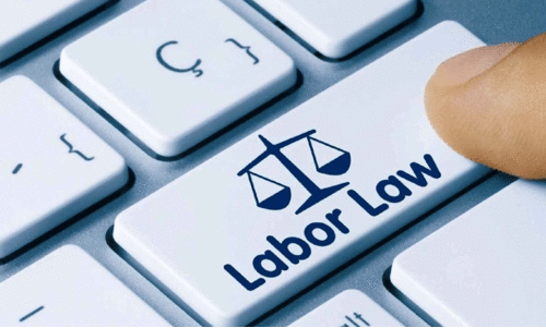 സ്വ​ദേ​ശി​വ​ത്ക​ര​ണം; നി​ർ​ദേ​ശ​ത്തി​ന് പാ​ർ​ല​മെ​ന്‍റി​ന്‍റെ അം​ഗീ​കാ​രം