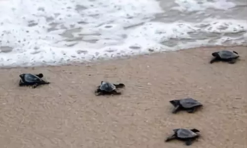 ഉ​ത്ത​ര ക​ന്ന​ട​യി​ൽ സ​മു​ദ്ര സം​ര​ക്ഷി​ത മേ​ഖ​ല പ​ദ്ധ​തി