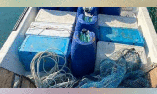 നി​രോ​ധി​ക്ക​പ്പെ​ട്ട ട്രോ​ളി​ങ് വ​ല​ക​ളു​മാ​യി ഇ​ന്ത്യ​ൻ മ​ത്സ്യ​ത്തൊ​ഴി​ലാ​ളി​ക​ൾ പി​ടി​യി​ൽ