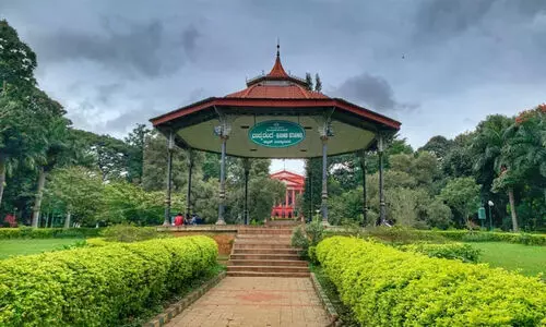 cubbon park