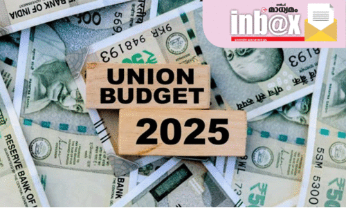 ബ​ജ​റ്റ്: സാ​ധാ​ര​ണ പ്ര​വാ​സി​ക്ക് ക​ഞ്ഞി കു​മ്പി​ളി​ൽ   ത​ന്നെ