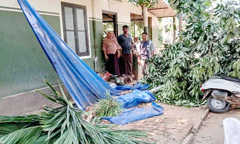 കരുളായി അത്തിക്കാപ്പിൽ കാട്ടാനയുടെ പരാക്രമം കരുളായി അത്തിക്കാപ്പിൽ കാട്ടാനയുടെ പരാക്രമം