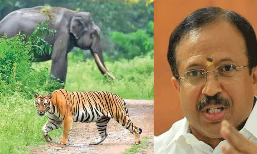 ബജറ്റ്: ആനയെയും കടുവയെയും ഉള്‍പ്പെടുത്തി കോണ്‍ക്ലേവ് ആകാമായിരുന്നു-വി. മുരളീധരൻ