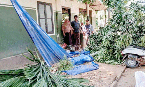 ക​രു​ളാ​യി അ​ത്തി​ക്കാ​പ്പി​ൽ കാ​ട്ടാ​ന​യു​ടെ പ​രാ​ക്ര​മ​ം