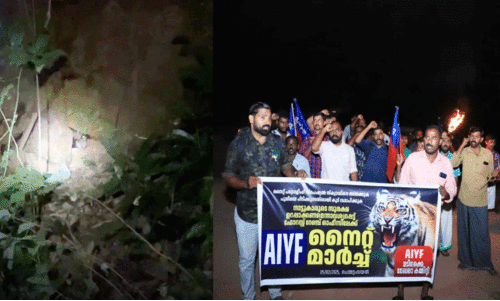 ബു​ധ​നാ​ഴ്ച പു​ലി കു​ടു​ങ്ങി, ഇ​ന്ന​ലെ നാ​ട്ടു​കാ​രും!