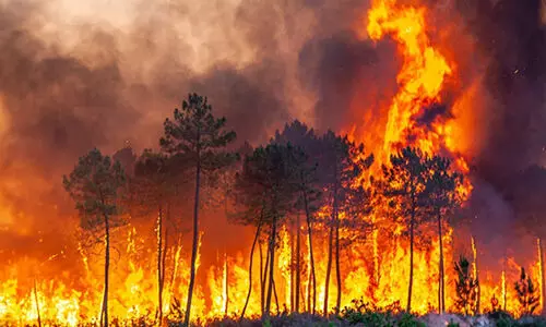 വേനൽച്ചൂട് കനക്കുന്നു; തീപീടിത്ത ഭീഷണിയിൽ മലയോരം