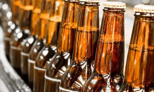 ബ്രൂവറിക്ക് റവന്യു വകുപ്പിന്റെ വെട്ട്; ഭൂമിതരംമാറ്റ അപേക്ഷ തള്ളി പാലക്കാട് ആർ.ഡി.ഒ