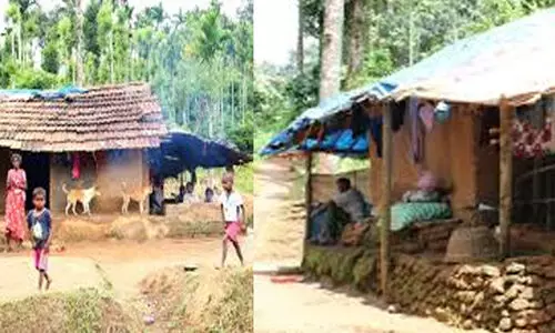 ഭൂരഹിതരായ 5000 പട്ടികജാതി കുടുംബങ്ങൾക്ക് ഭൂമി വാങ്ങുന്നതിന് 170 കോടി രൂപ