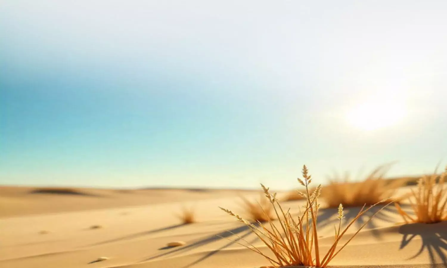 ആ​ച്ചൂ​ട്ടി​താ​ളം