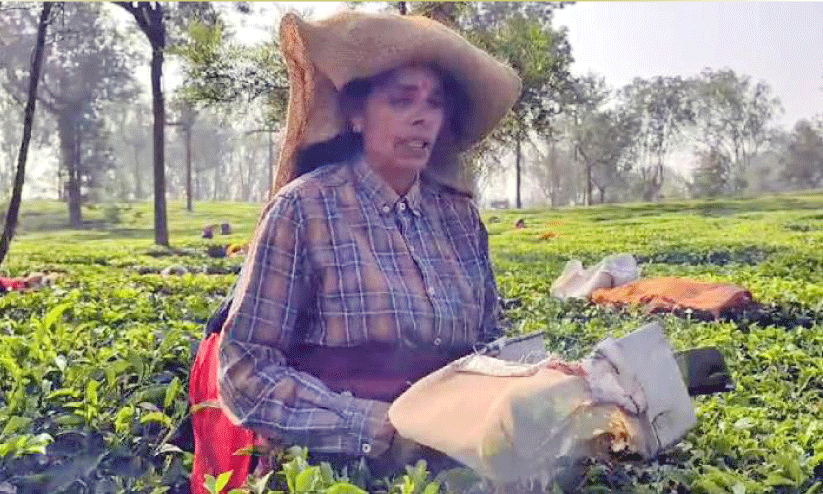 ജില്ലയിൽ ചൂട് വർധിക്കുന്നു ജില്ലയിൽ ചൂട് വർധിക്കുന്നു