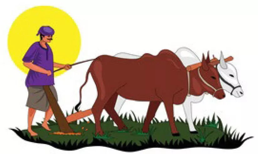 പ​രി​പാ​ല​ന​ചെ​ല​വ് കൂ​ടി; ക്ഷീ​ര​ക​ർ​ഷ​ക​ർ​ക്ക് പ്ര​തി​സ​ന്ധി