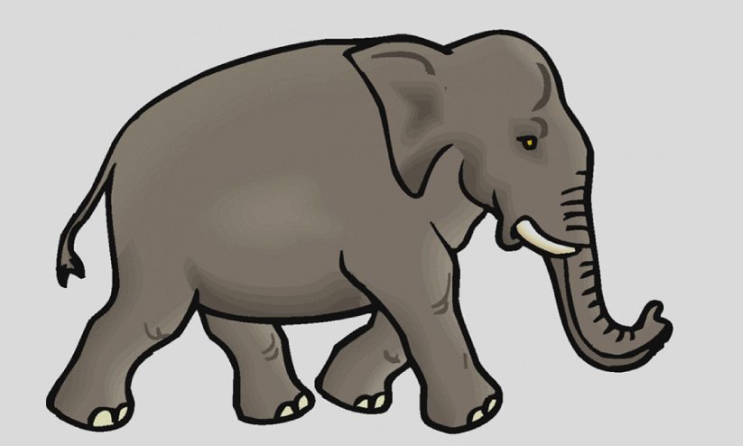 തുടർച്ചയായി കാട്ടാന ആക്രമണം; പൊറുതിമുട്ടി മലയോര ജനത തുടർച്ചയായി കാട്ടാന ആക്രമണം; പൊറുതിമുട്ടി മലയോര ജനത