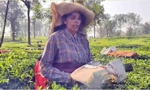 ജില്ലയിൽ ചൂട് വർധിക്കുന്നു