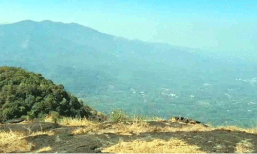 ഹരിത ടൂറിസം കേന്ദ്രമായി  പാലുകാച്ചിമല