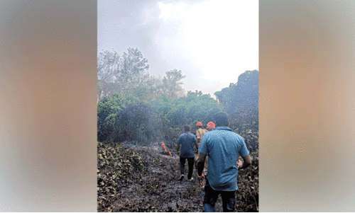 മലയോരമേഖലയിൽ  തീപിടിത്തം പതിവ്​