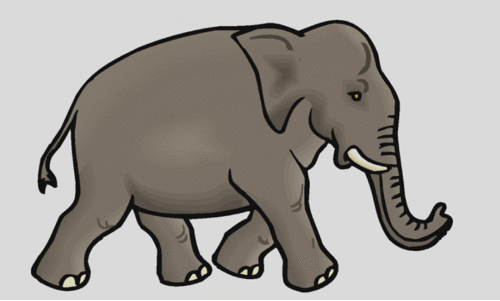 തുടർച്ചയായി കാട്ടാന ആക്രമണം; പൊറുതിമുട്ടി മലയോര ജനത