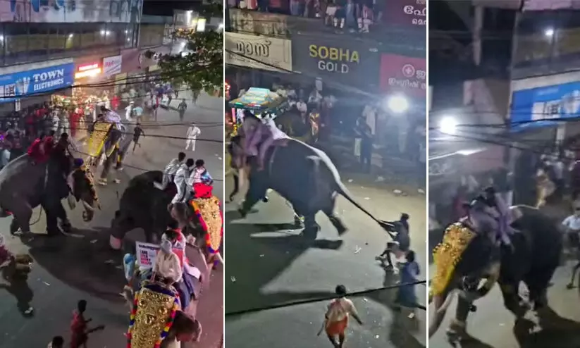 പട്ടാമ്പി നേർച്ചക്കിടെ ആനയിടഞ്ഞു; മധ്യ വയസ്കന്റെ കാലിൽ കമ്പി തുളഞ്ഞു കയറി; വാൽ പിടിച്ച് വലിച്ച് ആനയെ നിർത്തിക്കാൻ ശ്രമം പട്ടാമ്പി നേർച്ചക്കിടെ ആനയിടഞ്ഞു; മധ്യ വയസ്കന്റെ കാലിൽ കമ്പി തുളഞ്ഞു കയറി; വാൽ പിടിച്ച് വലിച്ച് ആനയെ നിർത്തിക്കാൻ ശ്രമം