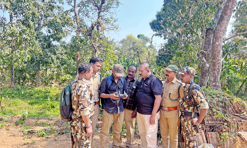 ത​ല​പ്പു​ഴ​യി​ൽ ക​ടു​വ സാ​ന്നി​ധ്യം; നാ​ട്ടു​കാ​ർ ഭീ​തി​യി​ൽ