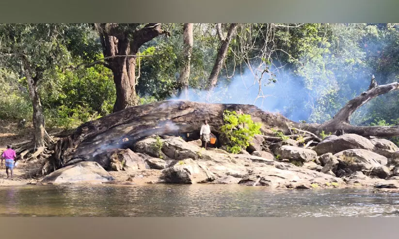 വനത്തിൽ തീയിട്ടു; യുവാക്കള്‍ക്കെതിരെ കേസെടുത്തു​