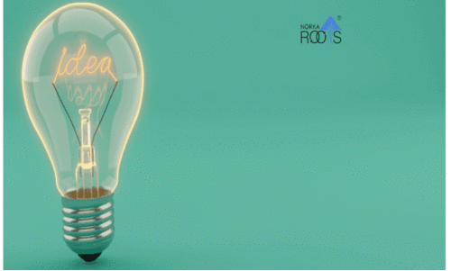 തിരികെ വന്ന പ്രവാസികൾക്ക് സംരംഭം തുടങ്ങാം, നോർക്ക സഹായിക്കും