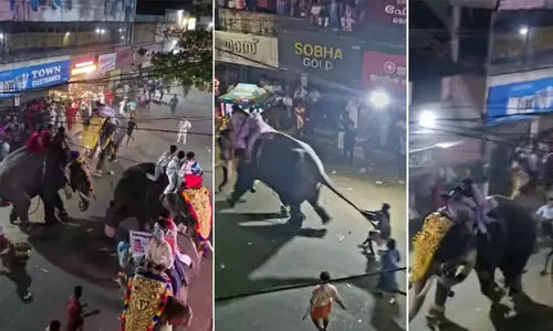 പട്ടാമ്പി നേർച്ചക്കിടെ ആനയിടഞ്ഞു; മധ്യ വയസ്കന്റെ കാലിൽ കമ്പി തുളഞ്ഞു കയറി; വാൽ പിടിച്ച് വലിച്ച് ആനയെ നിർത്തിക്കാൻ ശ്രമം