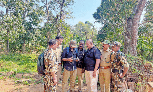 ത​ല​പ്പു​ഴ​യി​ൽ ക​ടു​വ സാ​ന്നി​ധ്യം; നാ​ട്ടു​കാ​ർ ഭീ​തി​യി​ൽ