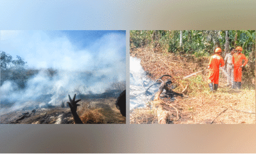 കത്തിക്കയറി ചൂട്​; കരുതണം തീ