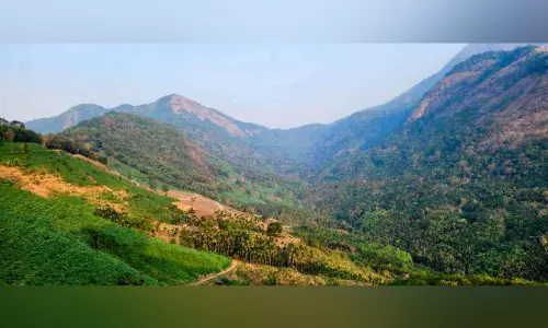 കാ​ർ​ഷി​ക വി​നോ​ദ സ​ഞ്ചാ​ര പ​ദ്ധ​തി​യു​മാ​യി പാ​ല​ക്ക​യ​ത്തെ ക​ർ​ഷ​ക​ർ