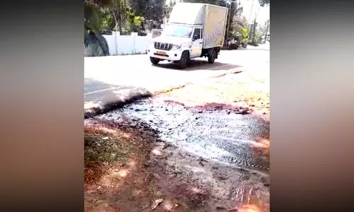 പുതിയകാവിൽ കുടിവെള്ളം പാഴാകുന്നു